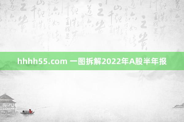 hhhh55.com 一图拆解2022年A股半年报