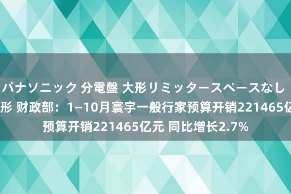 パナソニック 分電盤 大形リミッタースペースなし 露出・半埋