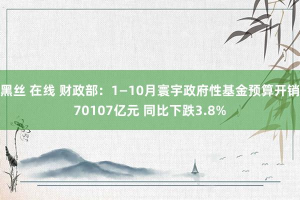 黑丝 在线 财政部：1—10月寰宇政府性基金预算开销7010