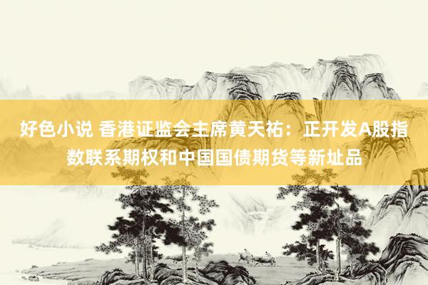 好色小说 香港证监会主席黄天祐：正开发A股指数联系期权和中国